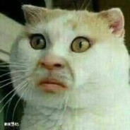 Don't bark like a dog