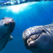 佑米の贝楽（七）