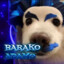 Osel_Baran191019