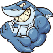 Мисье облава