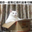废品接合师衣克铁克