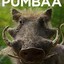 Mr. Pumba