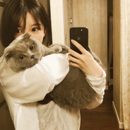 开在墙角的栀子花