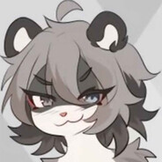 Impish Raccoon