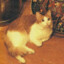 Maewing