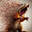 Zynenjoyer69