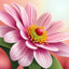 lilly