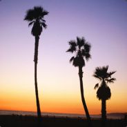 skippyla - steam id 76561197960800186