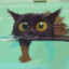 FuYu