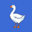 DancesWithGeese