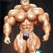 春风十里，桃花一片。