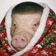 саляний в пледыку