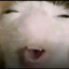 Suck Dicker