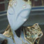 Knight of Nights