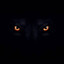 `LoBaT0HarD▼