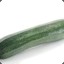 Zucchini