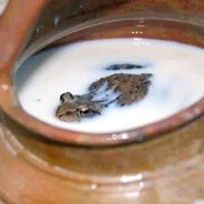 Frogmilk