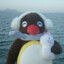 Pingu