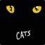 Cats♥ ҉҈҉҈҈҉҈҉҈҉҈҉҈҉҈҉҈ ♥ 夜