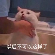 猫猫