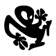 Diddygatari Kong