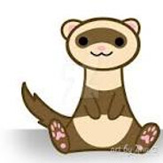 TheFerret