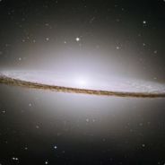 Nerf - steam id 76561197961174897