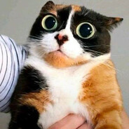 жертва аборта