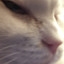 hocuspocusyou&#039;venowlostyourfocus
