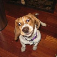 the_friendly_helper_123