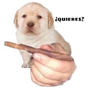 ¿Quieres?