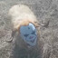 Нуб