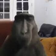 M0e