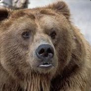 >>Кассиус Клей<<