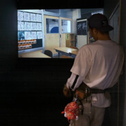 看看小雪可以吗