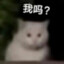 莱斯特