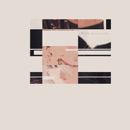 13oo8XZl6