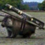 COMBAT WOMBAT