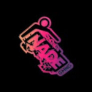 wwildmashina Steam avatar