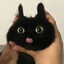bbcat