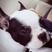 雪瘾成灾美娇娘