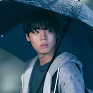 猫亮了我不玩了