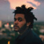 TheWeeknd