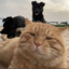 Cute_oooo