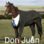 DonJuan