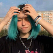 ambassador viperr ambassador viperr