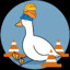 Local Safety Duck