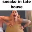 Sneako