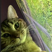 Shang Li, Dragon of the Mountain