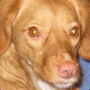 ๖ۣۣۜКøńьяķ™